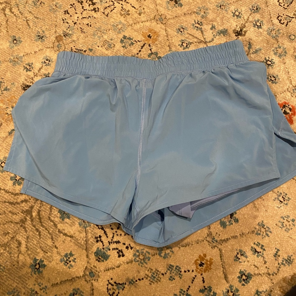 Aritzia Shorts